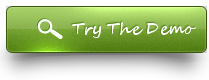 View the demo website editor