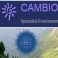 Cambio Environmental website screenshot